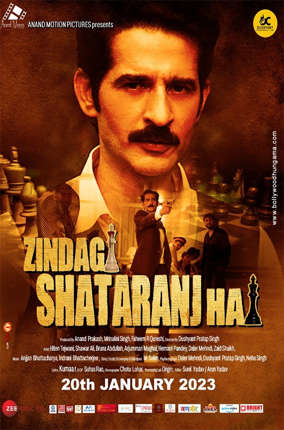 Zindagi Shatranj Hai (2023)